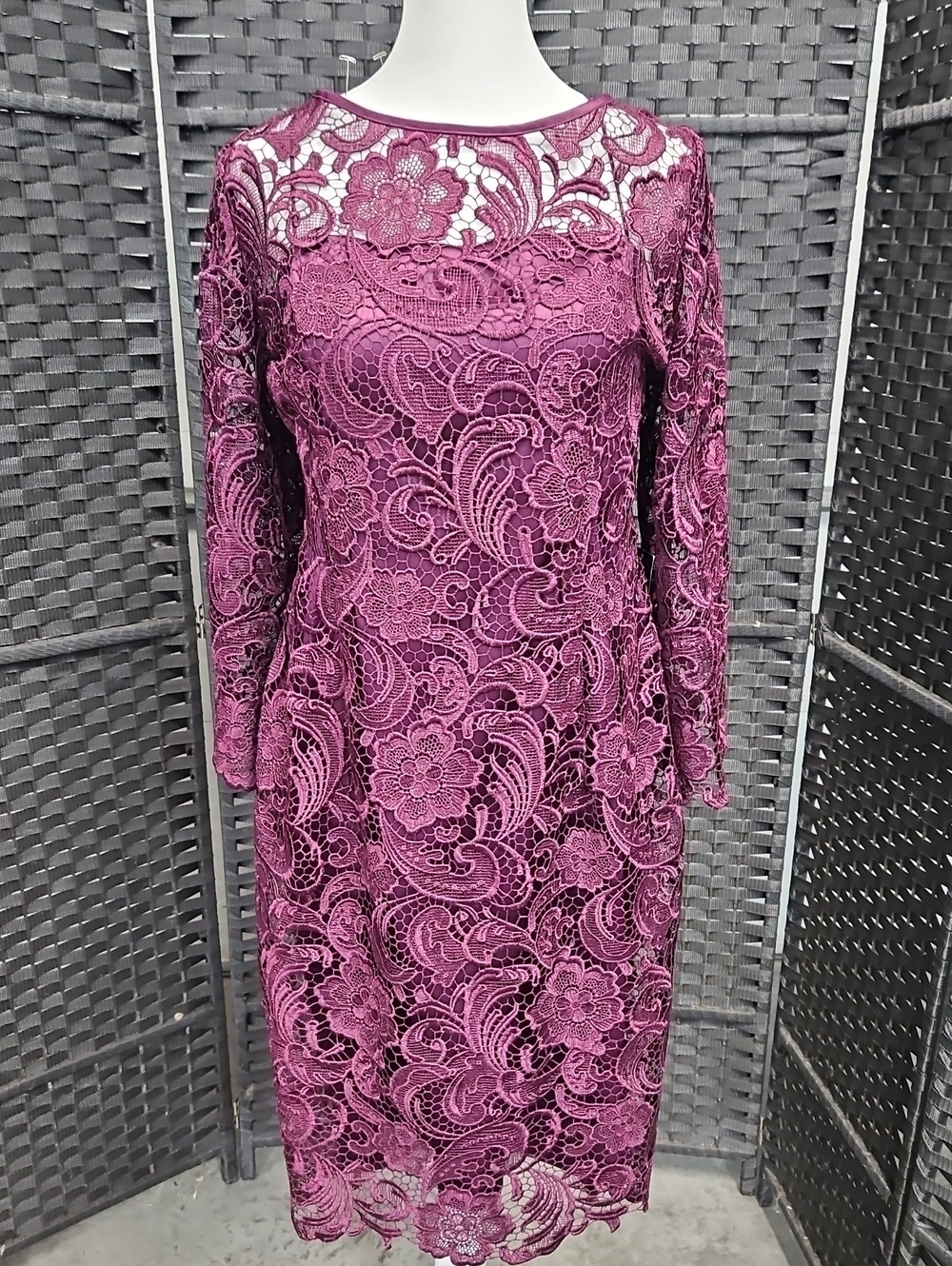NWT Size 12 Plum/Eggplant Long Sleeve Lace Adrianna Papell Cocktail - Picture 1 of 11